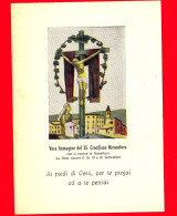 ITALIA - Abruzzo - Cartolina Non Viaggiata - Bolognano - Musellaro (Pescara) - SS. Crocifisso Miracoloso - Sonstige & Ohne Zuordnung