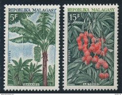 Malagasy 427-428, MNH. Michel 603-604. Banana Plants, Lichi Tree, 1969. - Madagascar (1960-...)