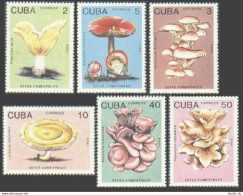 Cuba 3094-3099, MNH. Michel 3257-3262. Mushrooms 1989. - Unused Stamps