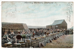 Shetland , Herring Workers - Shetland
