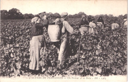 TH AGRICULTURE VIGNE - Les Vendanges - Un Porteur Et Sa Hotte - Animée - Belle - Weinberge