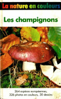 Les Champignons (1985) De Helmut Grünert - Natuur