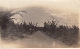 Photo Afrique Congo Route Forêt De Bambous Mont Maie Ituri - Afrika