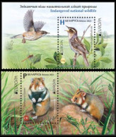 2021 Belarus 1407-1408+Tab Europa Cept - Fauna - Picchio & Uccelli Scalatori