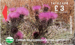Cyprus: Cyta - 1994 Akamas Forest, Wild Flowers - Cyprus