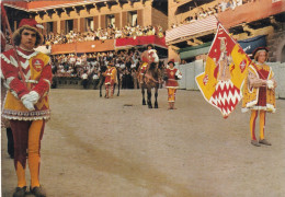 Siena Il Palio Contrada Di Val Di Montone - Siena