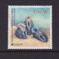 IRELAND - 2021 Europa 'W' Used As Scan - Gebruikt