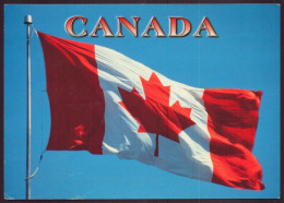 CANADA DRAPEAU CANADIEN17 X 11.5 CM - Non Classés