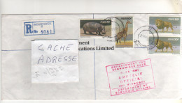 4 Timbres SWA " Lion , Girafe , Hippopotame " Sur Lettre Recommandée , Registered  Cover , Mail Du 9/7/86 - Altri - Africa