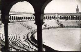 ESPAGNE - Sevilla -  Plaza De La Maestranza - Carte Postale - Sevilla