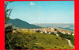 ITALIA - Molise - Cartolina Viaggiata Nel 1980 - Capracotta (m. 1421) (Isernia) - Panorama - Sonstige & Ohne Zuordnung