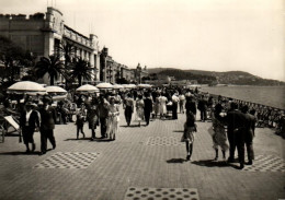 France > [06] Alpes Maritimes > Nice -  Promenade Des Anglais Et Le Palais De La Méditerranée - 8392 - Nice La Nuit