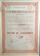 Fabrique Russe De Courroies Lechat - Action De Jouissance - 1900 - Russland