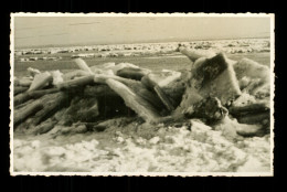 80 Somme Le Crotoy 3 Fevrier 1954 Carte Photo De La Baie De Somme Prise Dans La Glace ( Format 8,5cm X 13,5cm ) - Le Crotoy