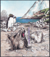 ARCTIC-ANTARCTIC, CHILE 2000 ANTARCTIC CLAIMS S/S, ELEPHANT SEAL** - Autres & Non Classés