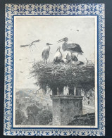 Protege Cahier XIXe - N°21 - CIGOGNE (gravure) - Protège-cahiers