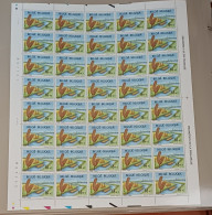 BELGIQUE / COB  2582/83 / PROMOTION DE LA PHILATÉLIE /  FEUILLES COMPLÈTES - 1991-2000