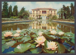 121874/ SAINT-JEAN-CAP-FERRAT, Villa Musée *Ile De France*, Nénuphars Dans Le Canal Du Jardin à La Française - Saint-Jean-Cap-Ferrat