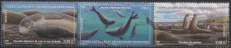 TAAF 2023 FAUNA Animals SEA ELEPHANTS - Fine Set/strip MNH - Ongebruikt