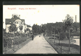 AK Burgstädt I. Sa., Eingang Zum Wettinhain  - Burgstädt