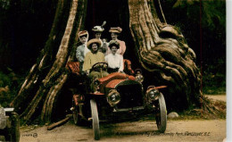 73934436 Vancouver_BC_Canada Automobile In The Big Cedar Stanley Park - Non Classés