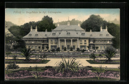 AK Dresden-Pillnitz, Berg-Palais Im Königlichen Schlossgarten  - Pillnitz