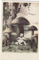 CHAMPIGNONS ET LE BEBE - Paddestoelen