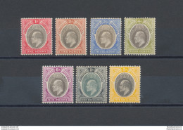 1904  Southern Nigeria , SG 21/31 Edoardo VII°, Not Completely Set , ML* - Other & Unclassified