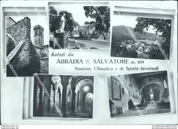 Br291 Cartolina Saluti Da Abbadia S.salvatore Provincia Di Siena Toscana - Siena