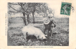 FRANCE - ESPALION - Vacherie Sur La Montagne - Aveyron - Animé - Carte Postale Ancienne - Espalion