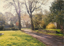 59 VIEUX CONDE VUE DU PARC - Vieux Conde