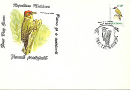 Moldova - First Day Cover FDC 1993 :  European Green Woodpecker  -  Picus Viridis - Pics & Grimpeurs