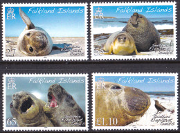 ARCTIC-ANTARCTIC, FALKLAND ISLS. 2008 SEA ELEPHANTS** - Antarctische Fauna