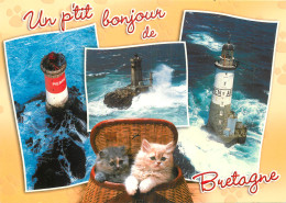 BONJOUR DE BRETAGNE MULTIVUES CHATONS - Bretagne