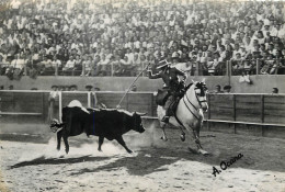 TOROS Y TEREROS CONCHITA CINTRON  - Stierkampf