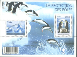 ARCTIC-ANTARCTIC, FRANCE 2009 PRESERVATION OF POLAR REGIONS S/S OF 2** - Préservation Des Régions Polaires & Glaciers