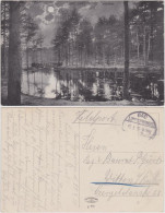 Ansichtskarte Bad Lippspringe Waldsee Und Brücke Bei Mondschein 1915  - Bad Lippspringe