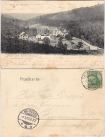 Hirschsprung-Altenberg (Erzgebirge) Blick Ins Bielathal - Strasse 1903  - Altenberg