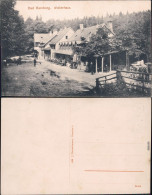 Bad Harzburg Partie Am Wolkenhaus Ansichtskarte Harz B Goslar 1913 - Bad Harzburg