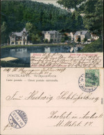 Ansichtskarte Pillnitz Partie Beim Friedrichgrund 1904 - Pillnitz