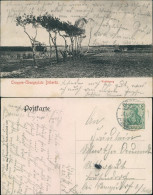 Ansichtskarte Dallgow-Döberitz Truppenübungsplatz - Wolfsberg 1911 - Dallgow-Doeberitz