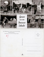 Ansichtskarte Stellingen-Hamburg Dressurschule - Stellingen - Hagenbeck 1965  - Stellingen