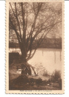 CPA 01 PONT DE VAUX - LES BORDS DE LA REYSSOUZE - Pont-de-Vaux