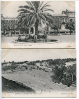 ALGÉRIE LOT 2 CPA * BLIDA La Place D'Armes (grand Palmier) & L'Aqueduc Et La Vallée El Kébir * Collections ND Photo - Blida