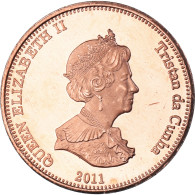 Monnaie, NIGHTINGALE ISLAND, 2 Pence, 2011, Île Nightingale., SPL, Cuivre - Sainte-Hélène