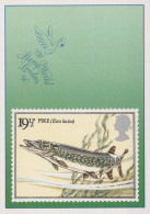 FISH Animals Vintage Postcard CPSM #PBS867.GB - Pescados Y Crustáceos