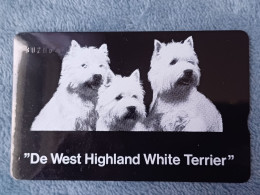 NETHERLANDS - RCZ793 - De West Highland White Terrier - DOGS - 1.000EX. - Privées