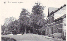 CINEY  -  Promenade Du Sainfoin - Ciney