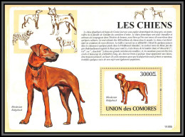 80967 Comores Y&t BF N°157 Chiens Chien De Rhodesie Dog Dogs Rhodesian Ridgeback ** MNH 2009 Cote 21 Euros - Dogs