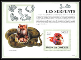 80968 Comores Y&t BF N°167 Cerastes Vipère à Cornes Dasypeltis Serpent Serpents Snakes Snake ** MNH 2009 Cote 21 Euros - Comoros